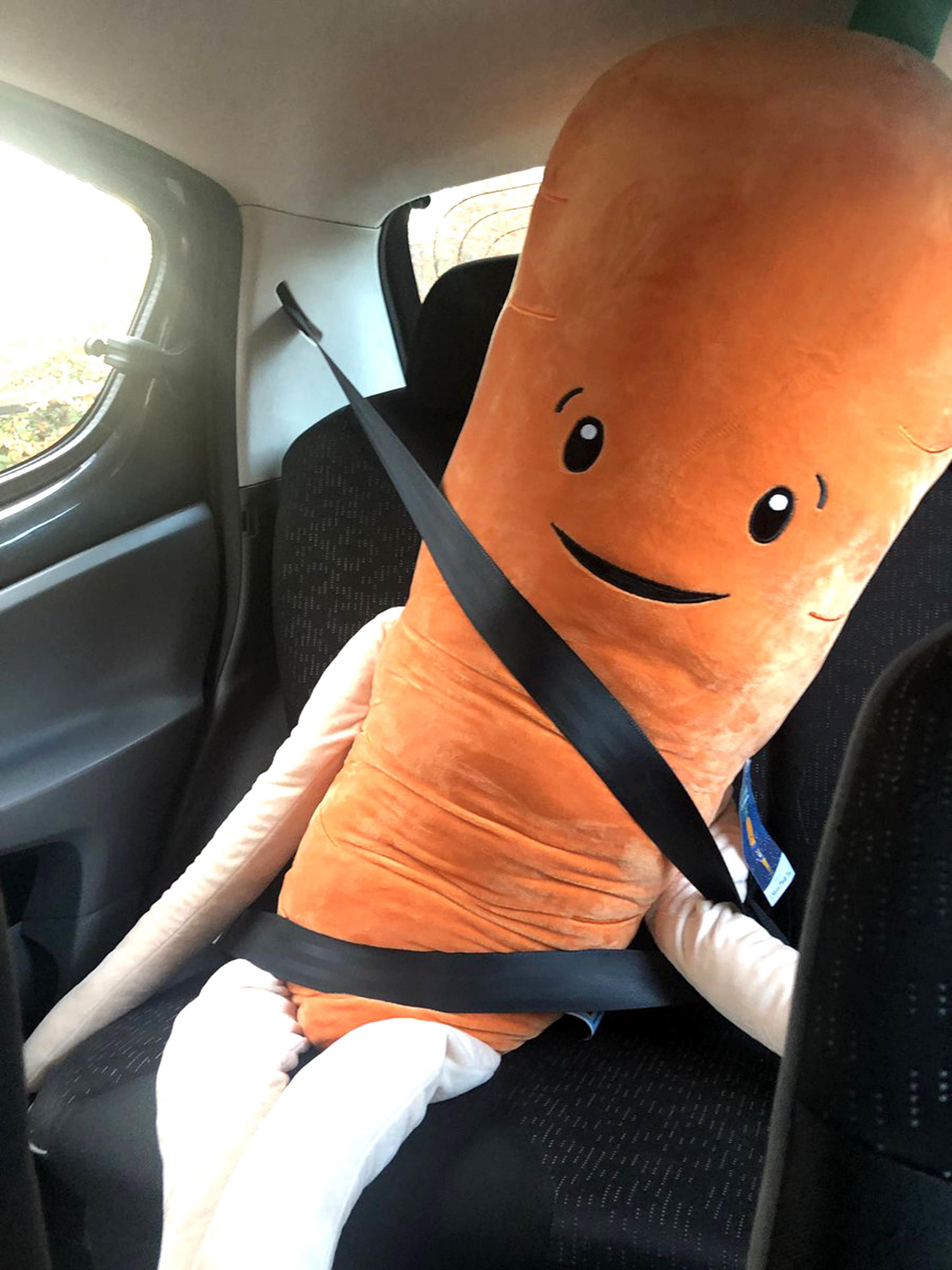 aldi kevin the carrot soft toy